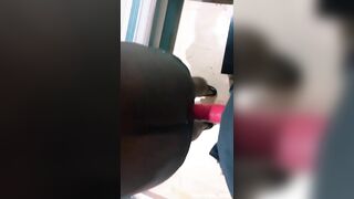 لما ارجع على البيت الكلب بيستقبلني وهو راكع